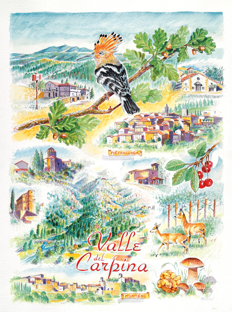 valle-del-carpina-poster